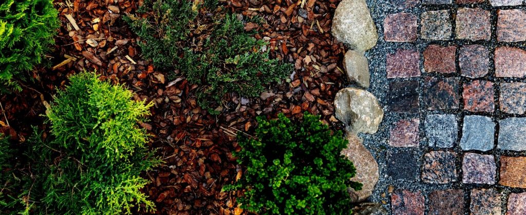Top down view of a landscape bed with fresh mulch along a brick path.