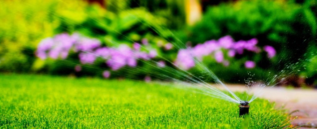 A multi-stream sprinkler watering grass