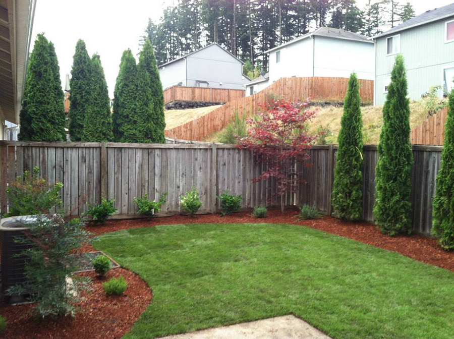 A home's backyard with new turf lined with a thin landscape bed and shrubs. Other homes backyards are visible.