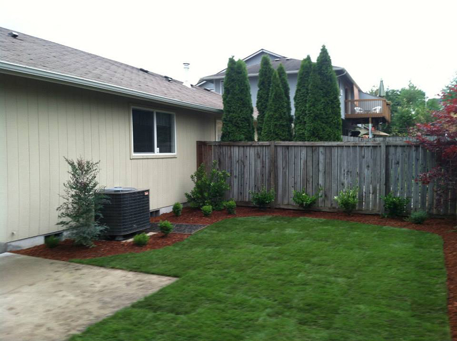 A home's backyard with newly planted turf and a row of shrubs in a landscape bed around an air conditioner unit.