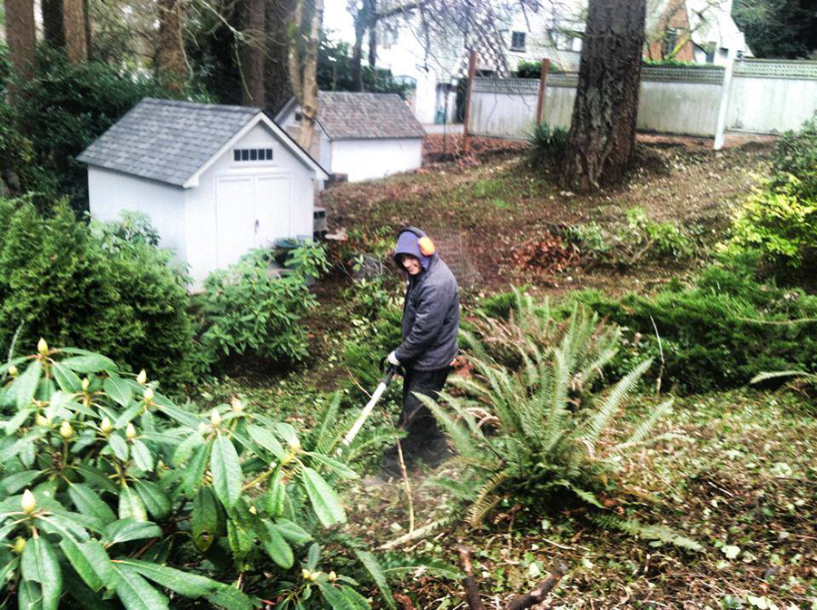 An employee of Buds and Blades using a string trimmer in an overgrown area.