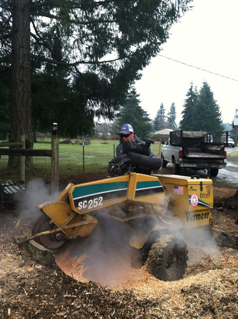 An employee of Buds and Blades using a large stump grinder on the remains of a tree.