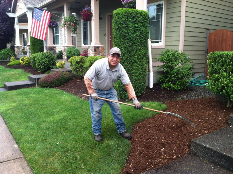 An employee of Buds and Blades raking mulch in front of a home.