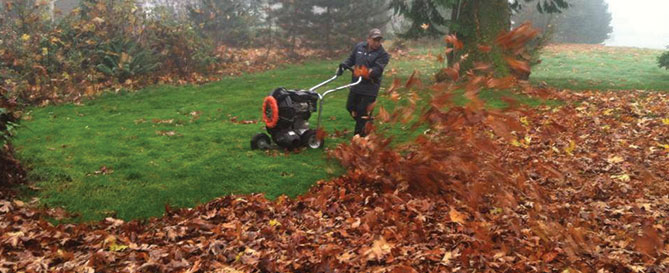 An employee of Buds and Blades using a push-style leaf blower pushing a field completely covered in leaves.