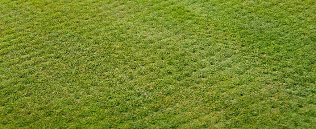 A section of grass with holes punched in a grid pattern for aeration.