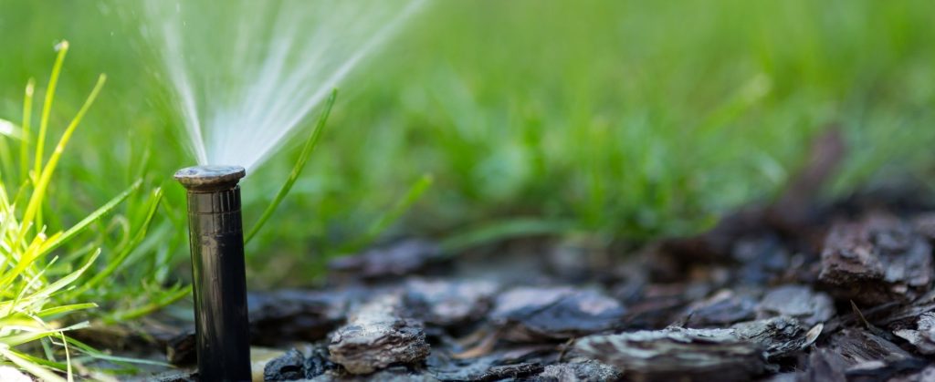 A pop-up sprinkler in bark watering grass.