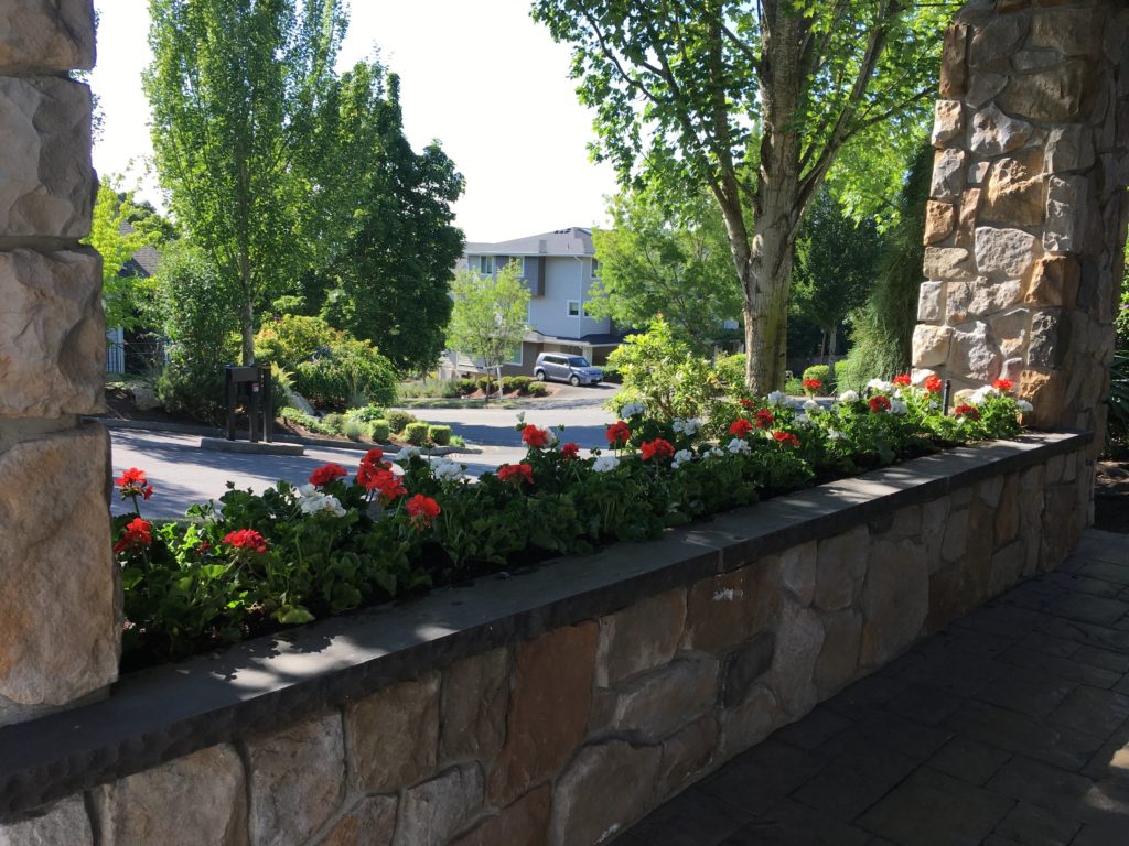 A raised planter bed on a home porch with flowers overlooling a driveway and other homes.