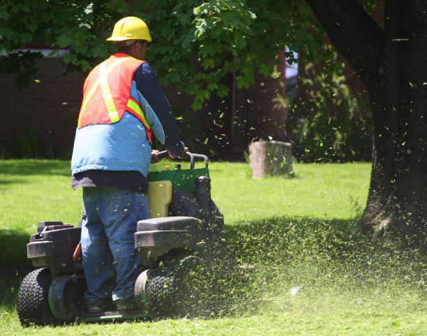 A man in a hard hat and safety vest riding a commercial lawn mower with lawn clipping flying around