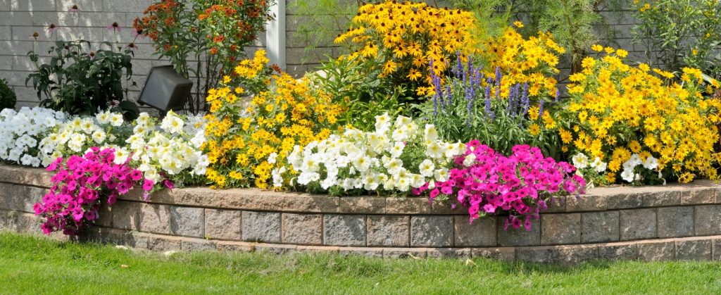 A short retaining wall with multiple different flowers hanging over turf.